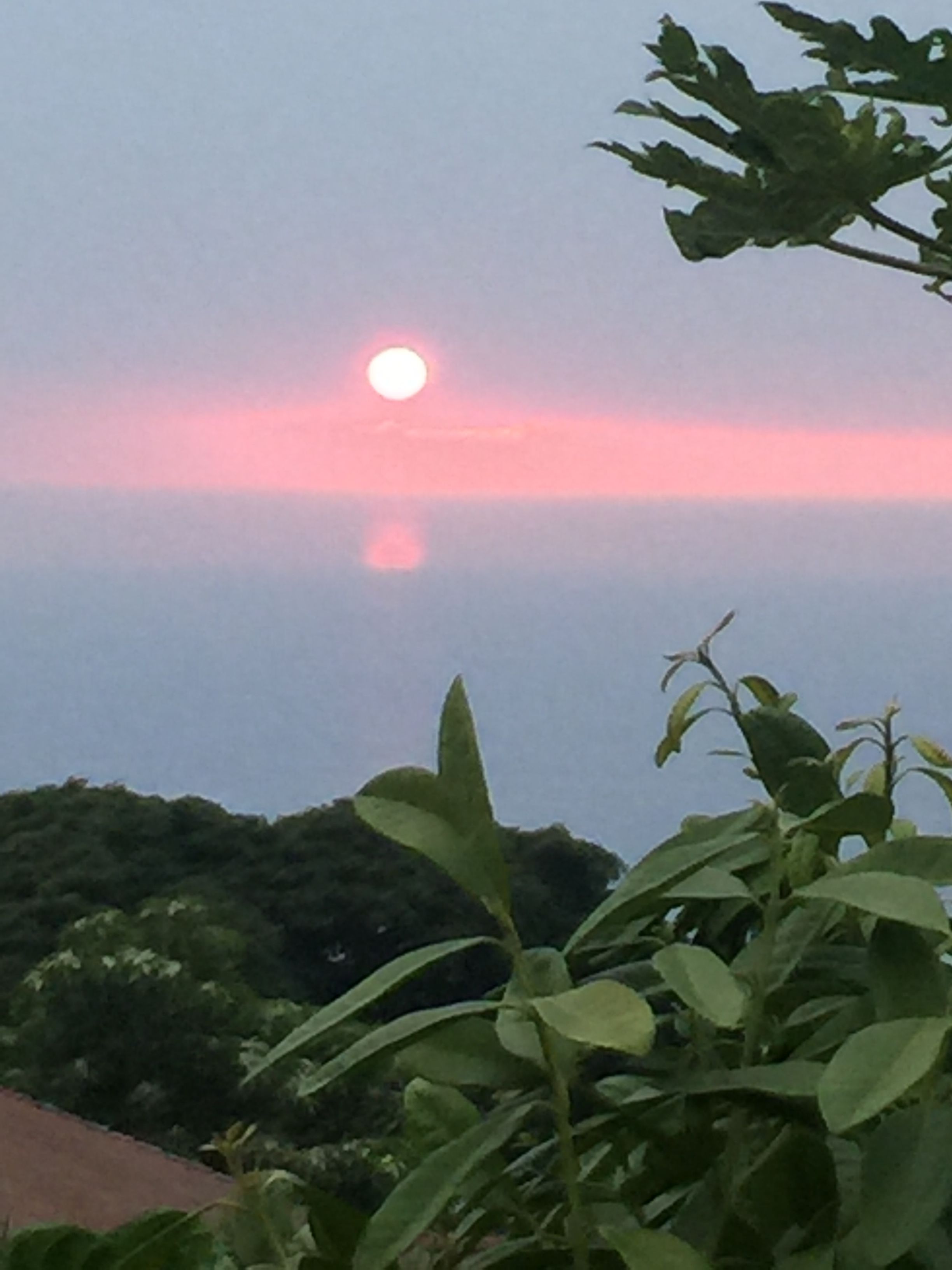 Un atardecer sobre un cuerpo de agua, con el reflejo del sol.