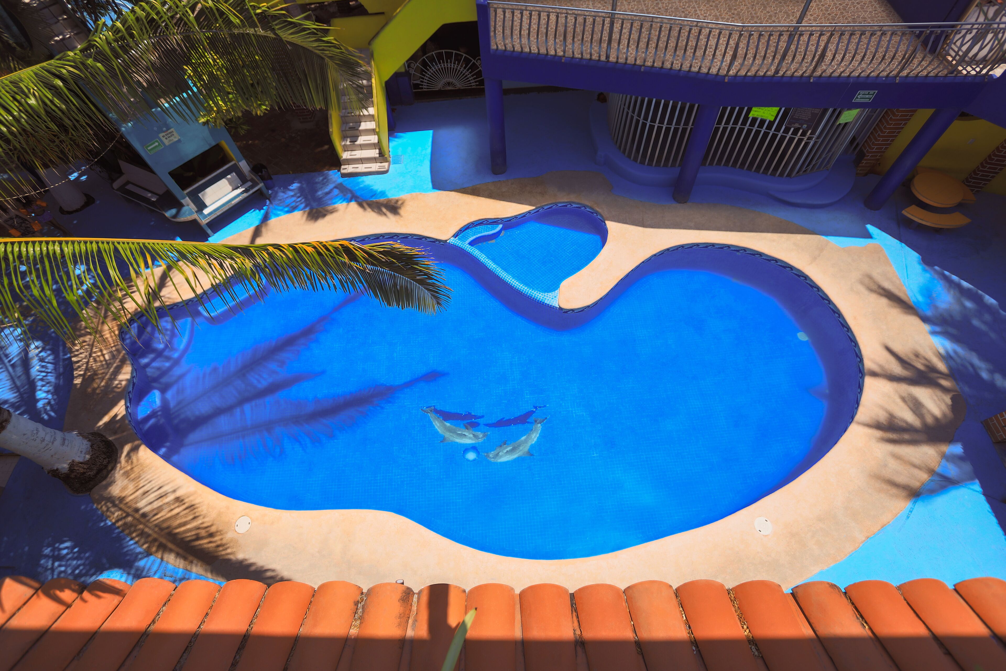 Alberca al aire libre 