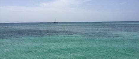 A clear view of a calm sea with a sailboat in the distance.