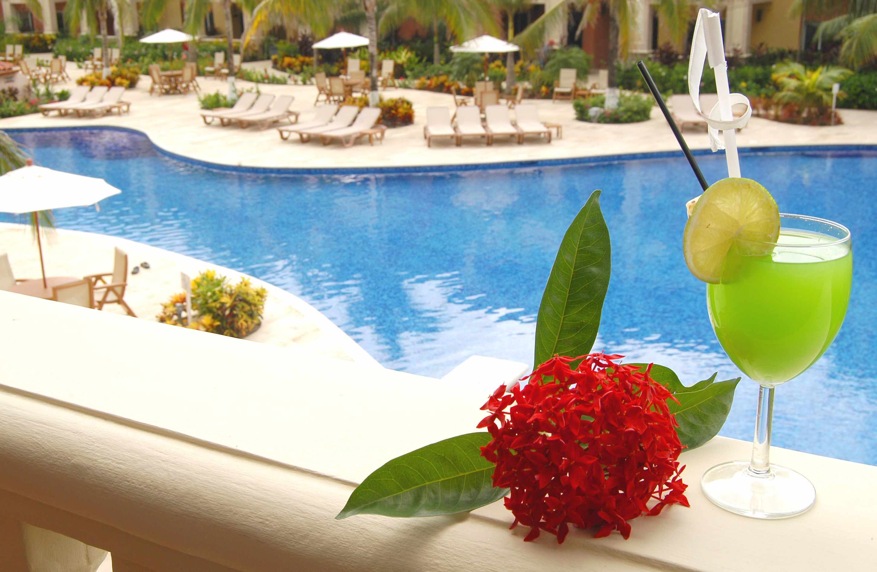 A poolside view with lounge chairs, a drink with a lime garnish, and red flowers.