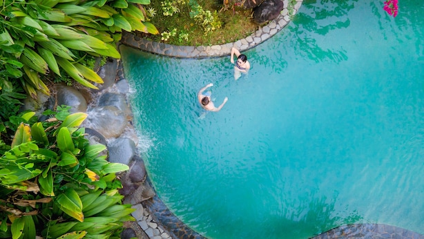 Une piscine bordée de pierres, entourée d’une végétation luxuriante.