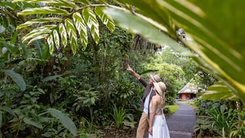A couple standing on a pathway surrounded by dense greenery, with a thatched-roof structure in the background.