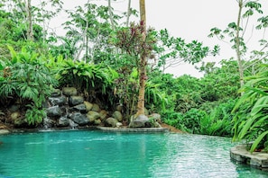 Outdoor pool, sun loungers