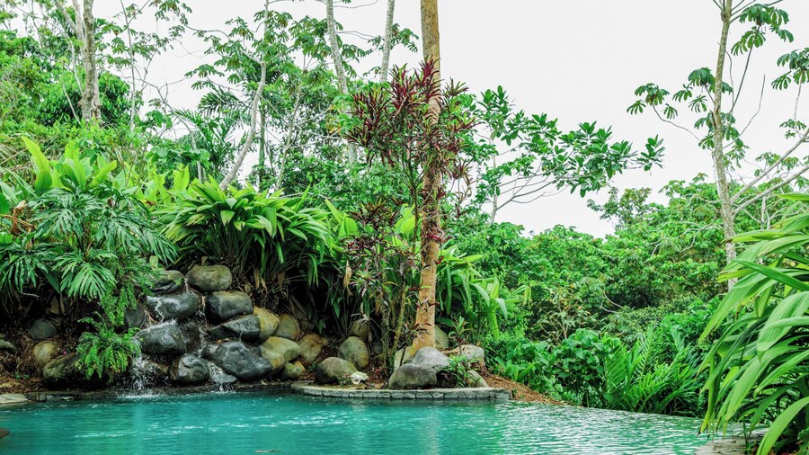 Sarapiquis Rainforest Lodge