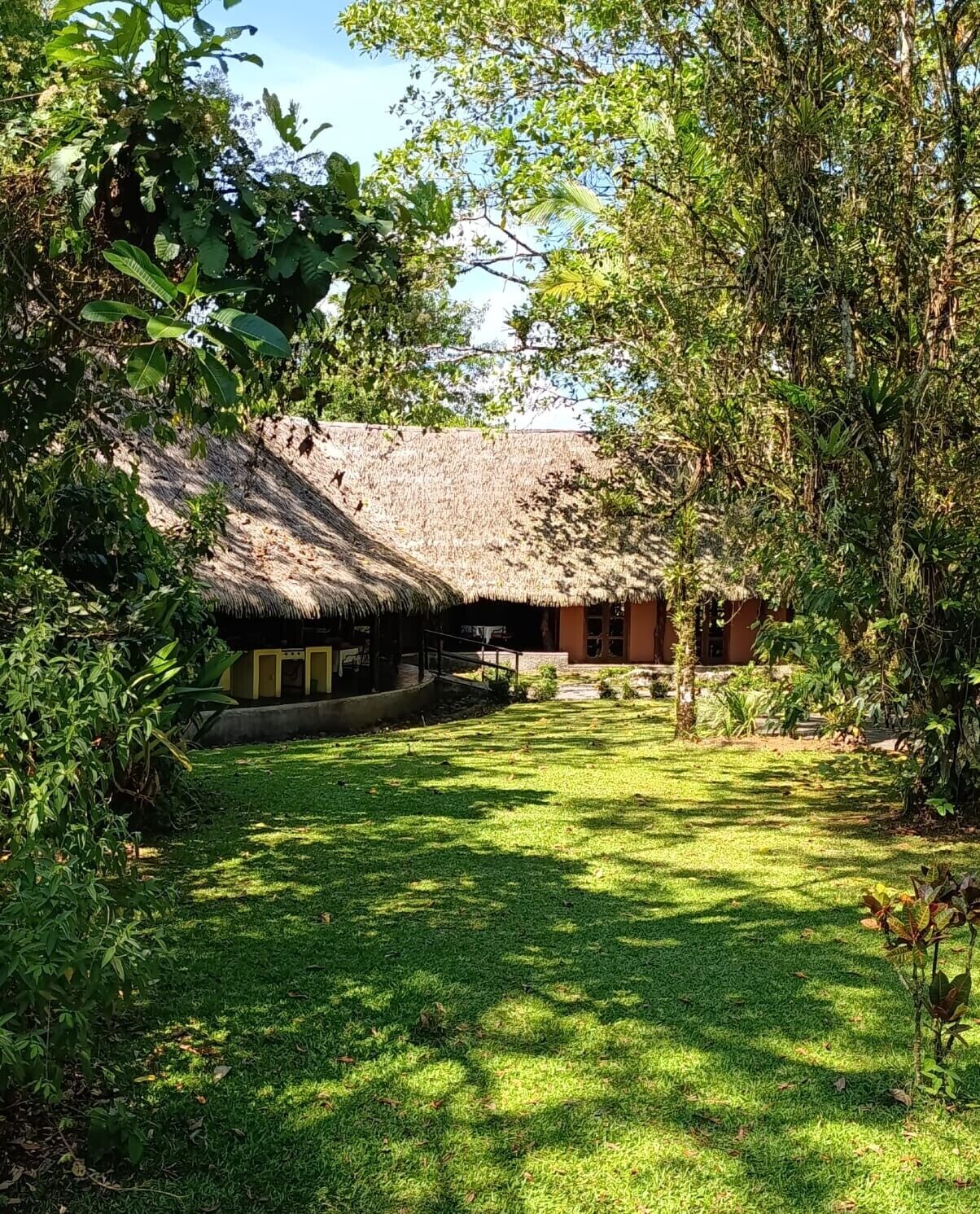 A thatched-roof hut with a grassy yard and surrounding vegetation.