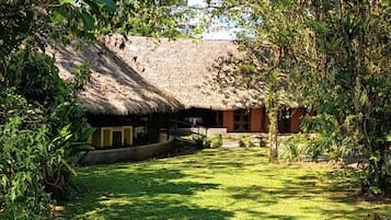 A thatched-roof hut with a grassy yard and surrounding vegetation.
