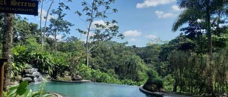 Outdoor pool, sun loungers