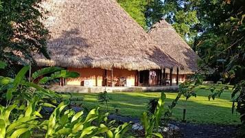 Vista desde la habitación