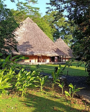 Standard Double Room, 1 King Bed | View from room