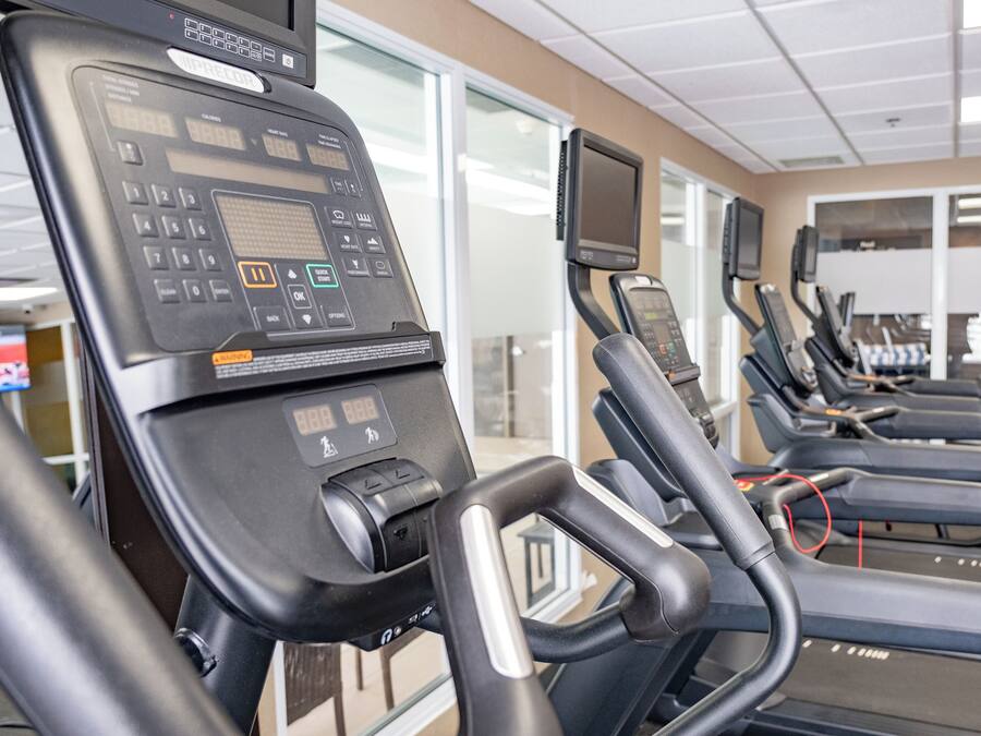 A row of stationary exercise bikes with digital displays and control panels, arranged in a gym with large windows and a tiled ceiling.