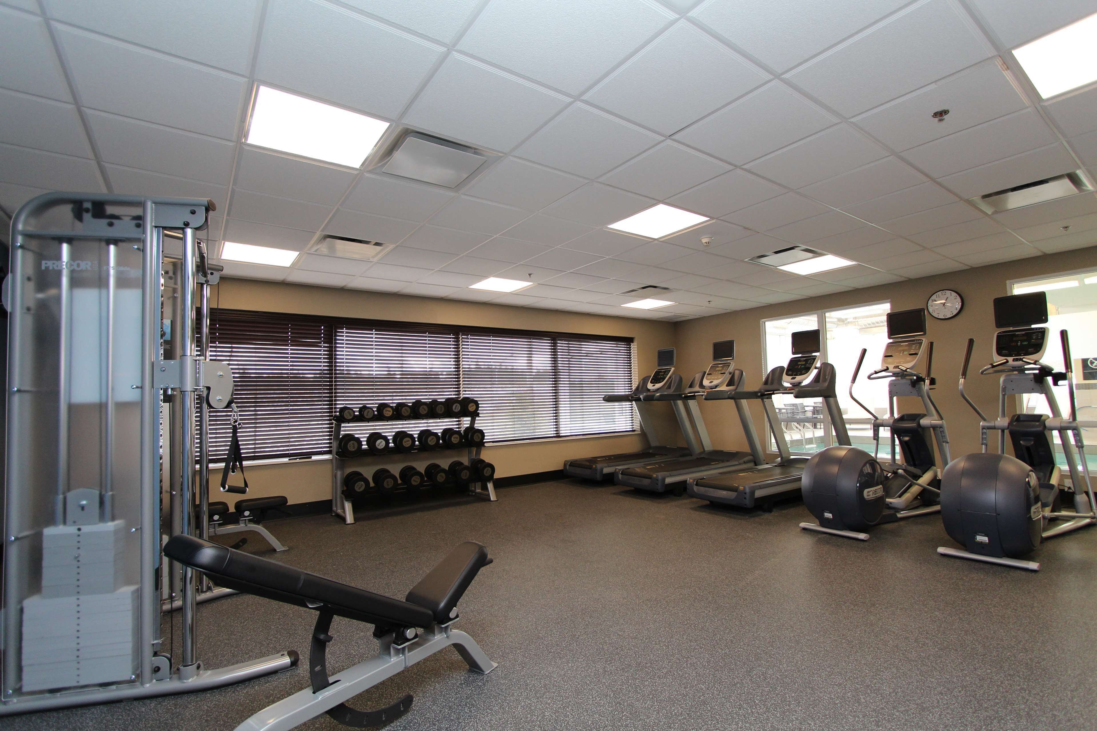 A gym with treadmills, elliptical machines, a bench press, and dumbbells.