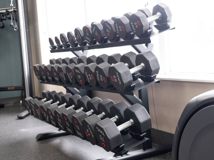 Et stativ med håndvægte i et fitnesscenter med et vindue i baggrunden.