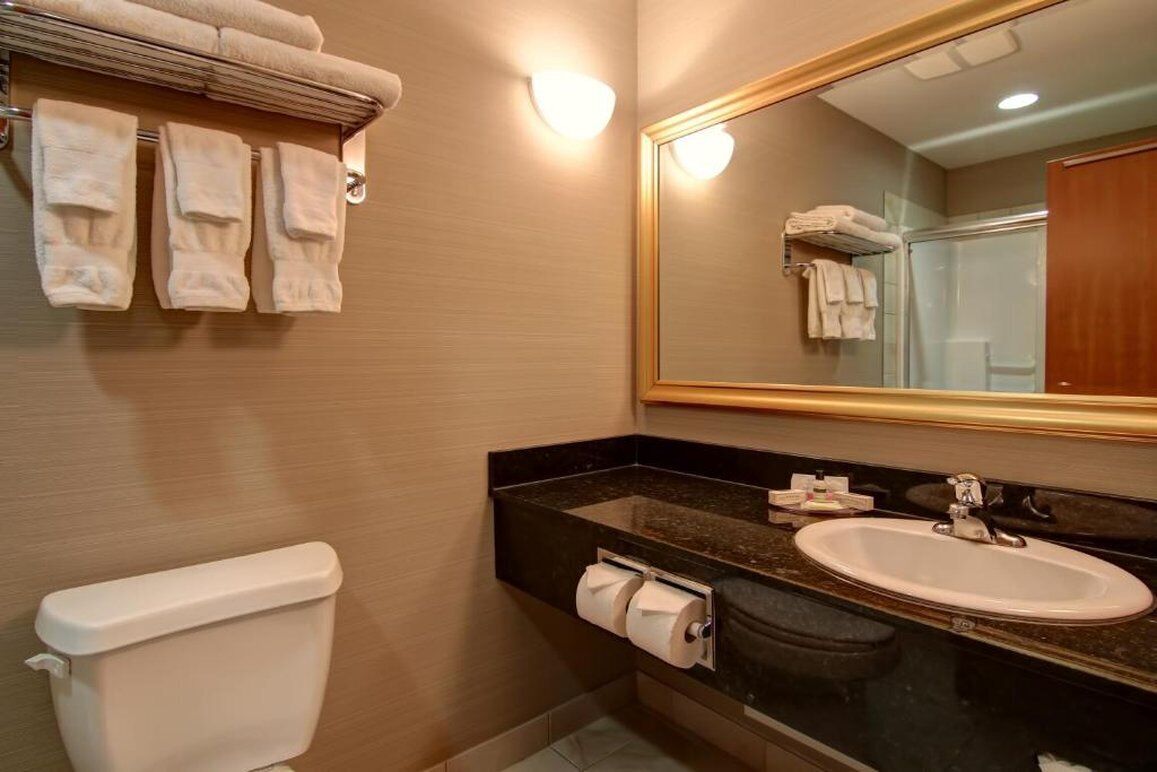 combined shower/bathtub, free toiletries, hair dryer, towels