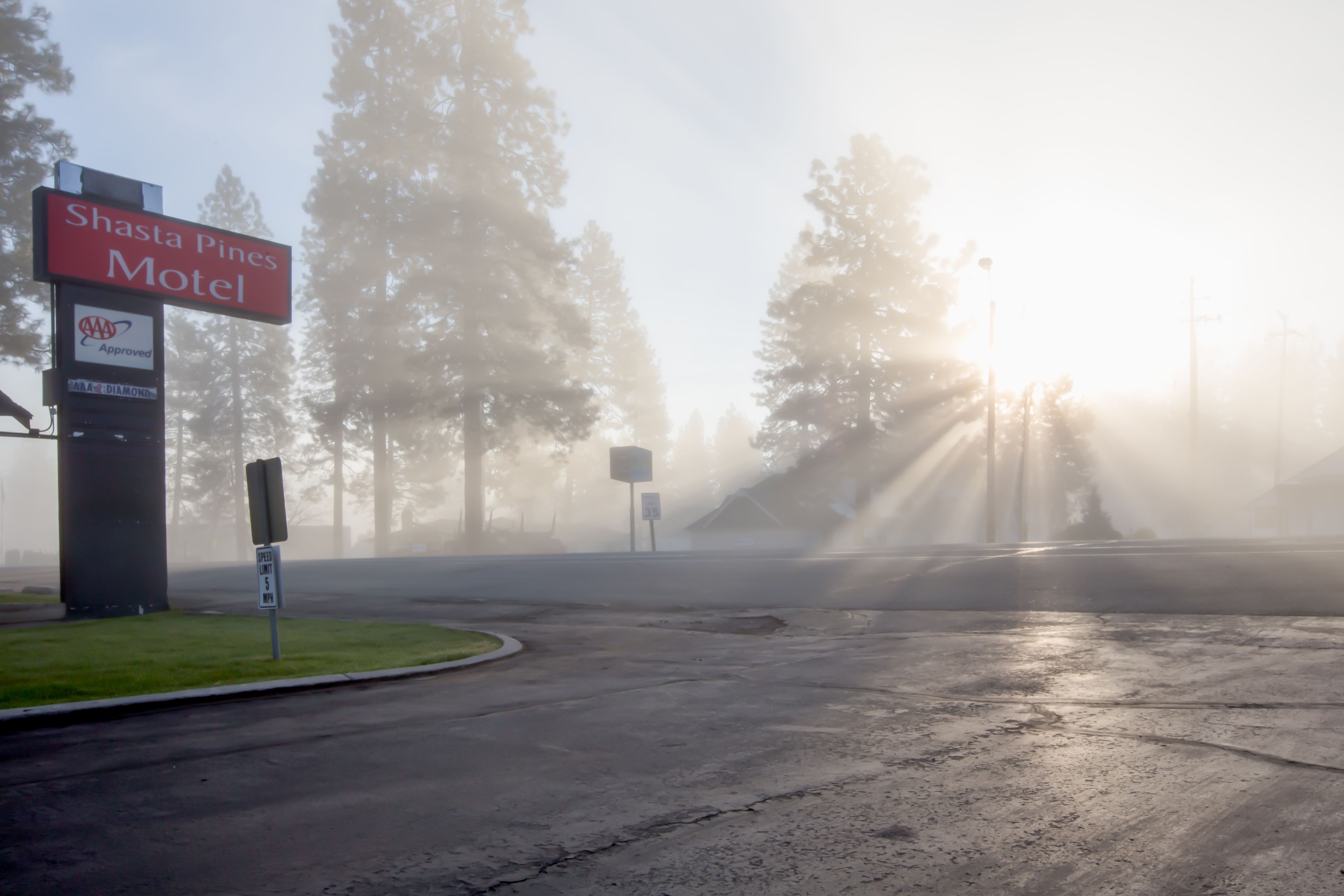 Un panneau indiquant un motel, avec le logo « Approuvé par l’AAA », un panneau « Stationnement interdit » et un panneau indiquant une limite de vitesse de « 5 miles par heure ».