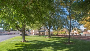 A grassy area with trees and a building in the background. - Shasta Pines Motel & Suites (Burney)