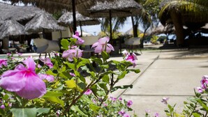 A tropical resort with thatched umbrellas and lush greenery. - Nosy Be Hotel & Spa (Nosy Be)