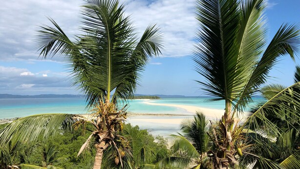 A tropical beach with palm trees and a clear view of the ocean. - Nosy Be Hotel & Spa (Nosy Be)