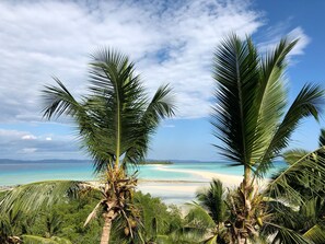 Une plage tropicale bordée de palmiers, offrant une vue dégagée sur l’océan.