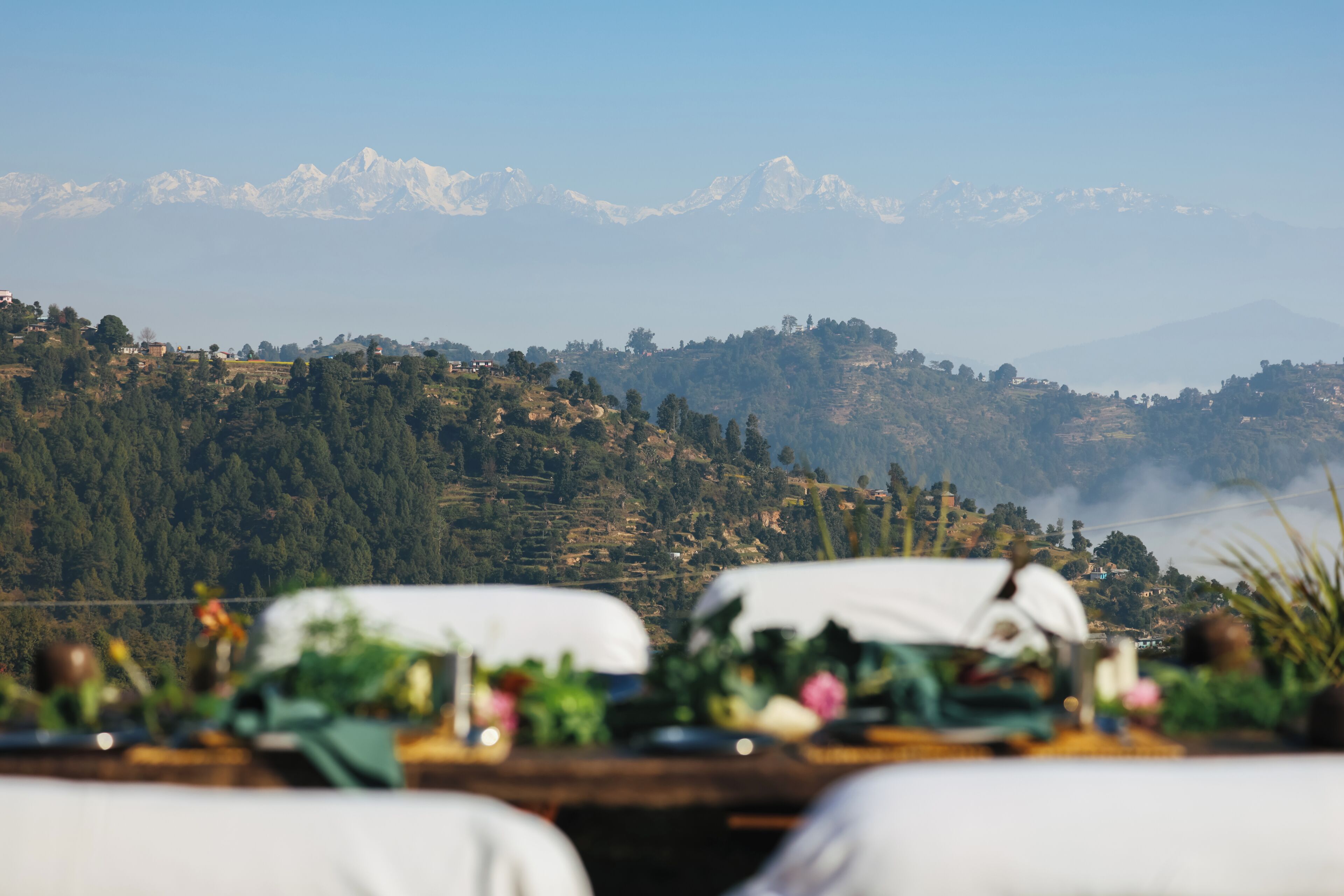 A bed with a white cover, a view of a mountainous landscape, and a table with a plant.