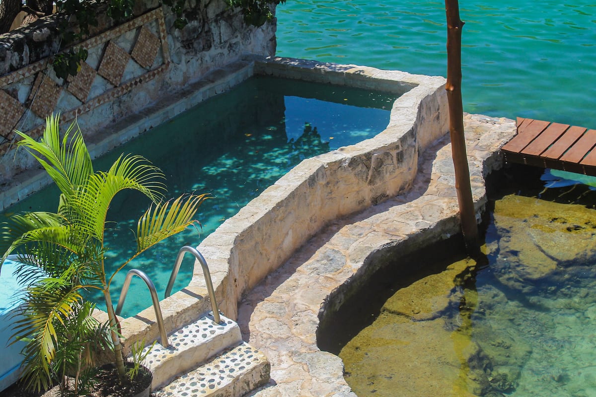 A stone pool with clear water, a palm tree, and a wooden deck.
