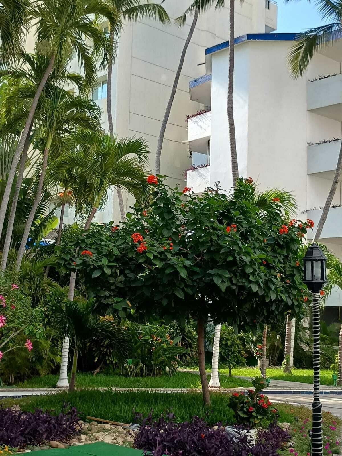 Foto - Hotel Acapulco Malibu