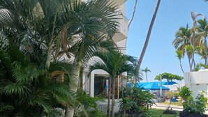 A well-maintained garden with palm trees, a pathway, and a building with a white facade. - Hotel Acapulco Malibu (Acapulco)