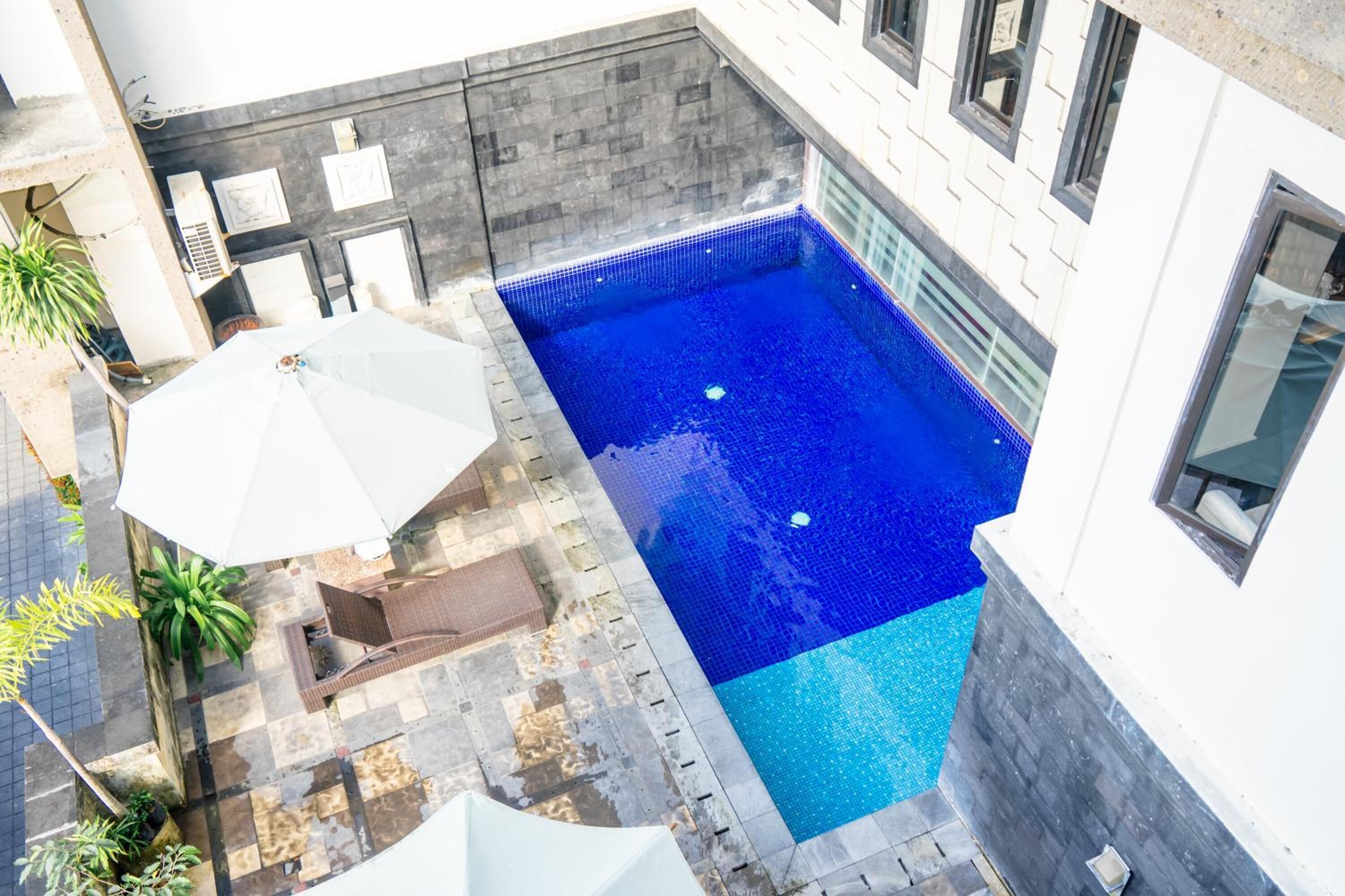 Una piscina en la azotea con interior de azulejos azules, rodeada por una terraza de piedra y macetas con plantas.