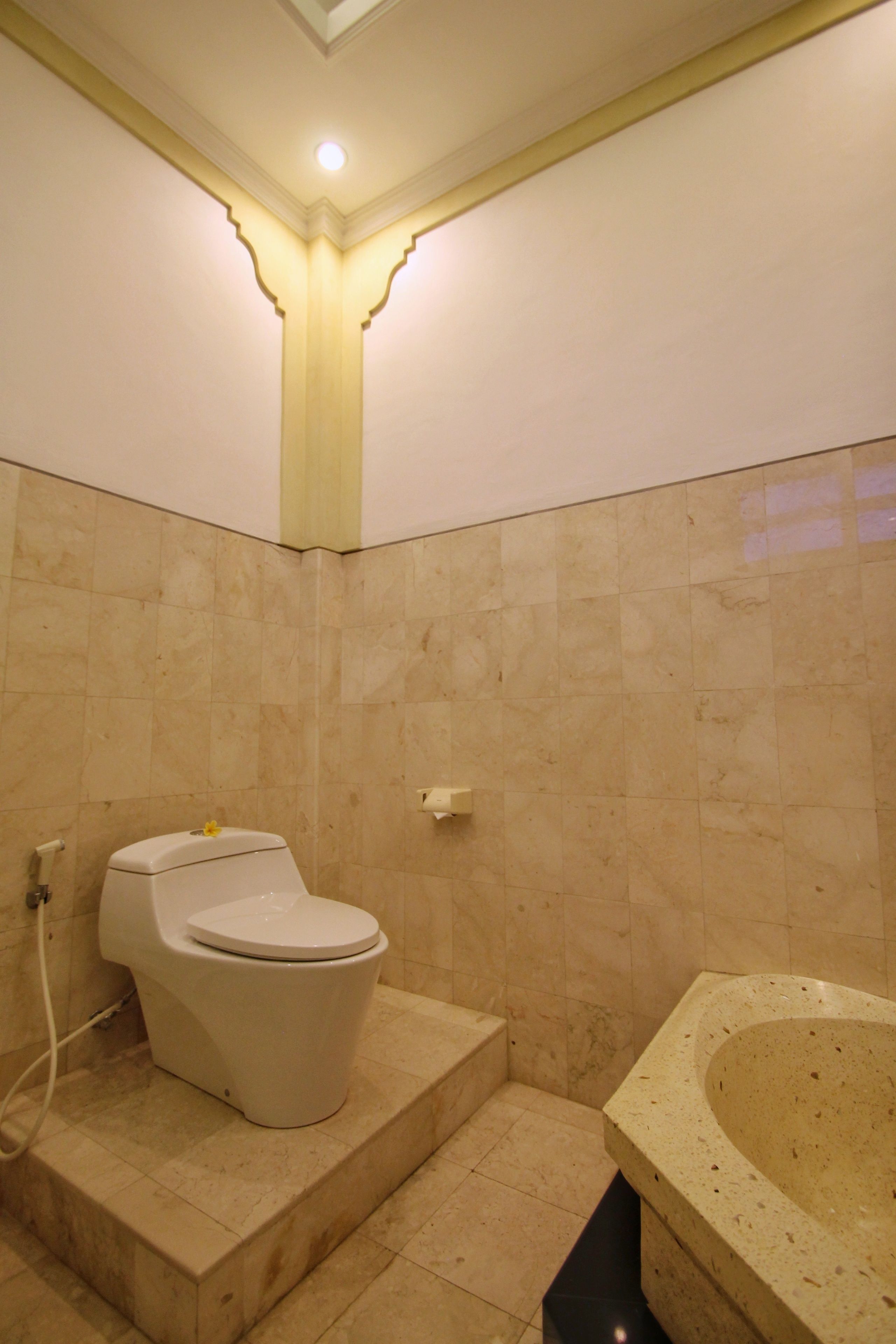Casa de banho com sanita, banheira e paredes revestidas a azulejos.