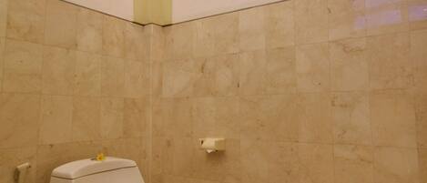 A bathroom with a toilet, a bathtub, and tiled walls.