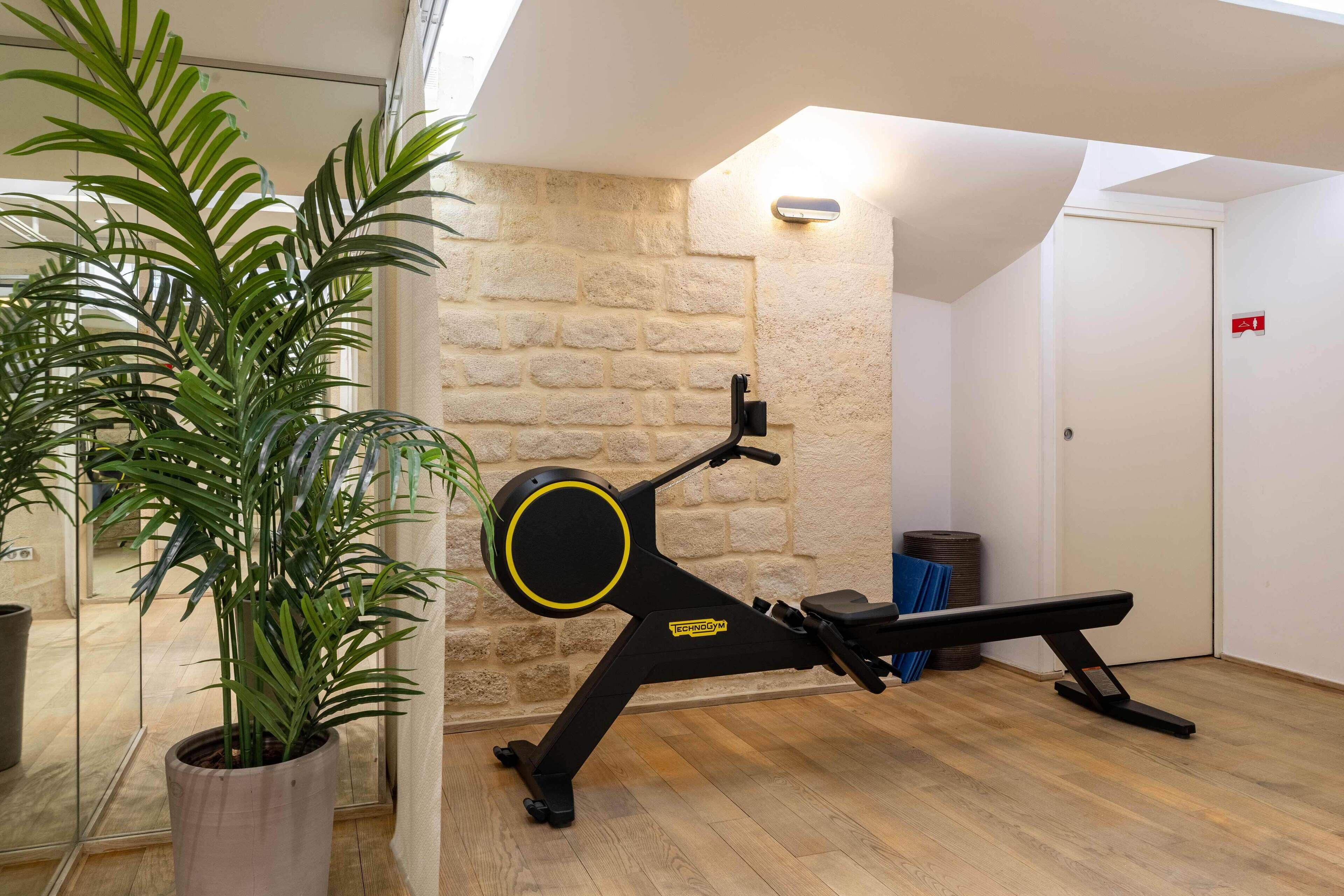 Une salle de sport à domicile avec un vélo d’appartement, une plante en pot et un mur en pierre.
