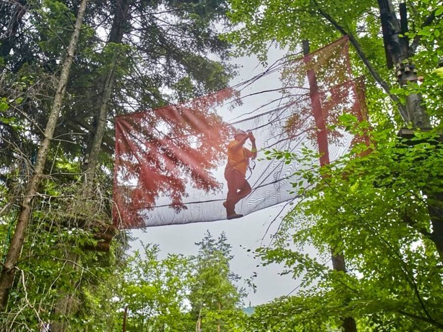 Uma pessoa suspensa sobre uma ponte de rede em uma área arborizada.