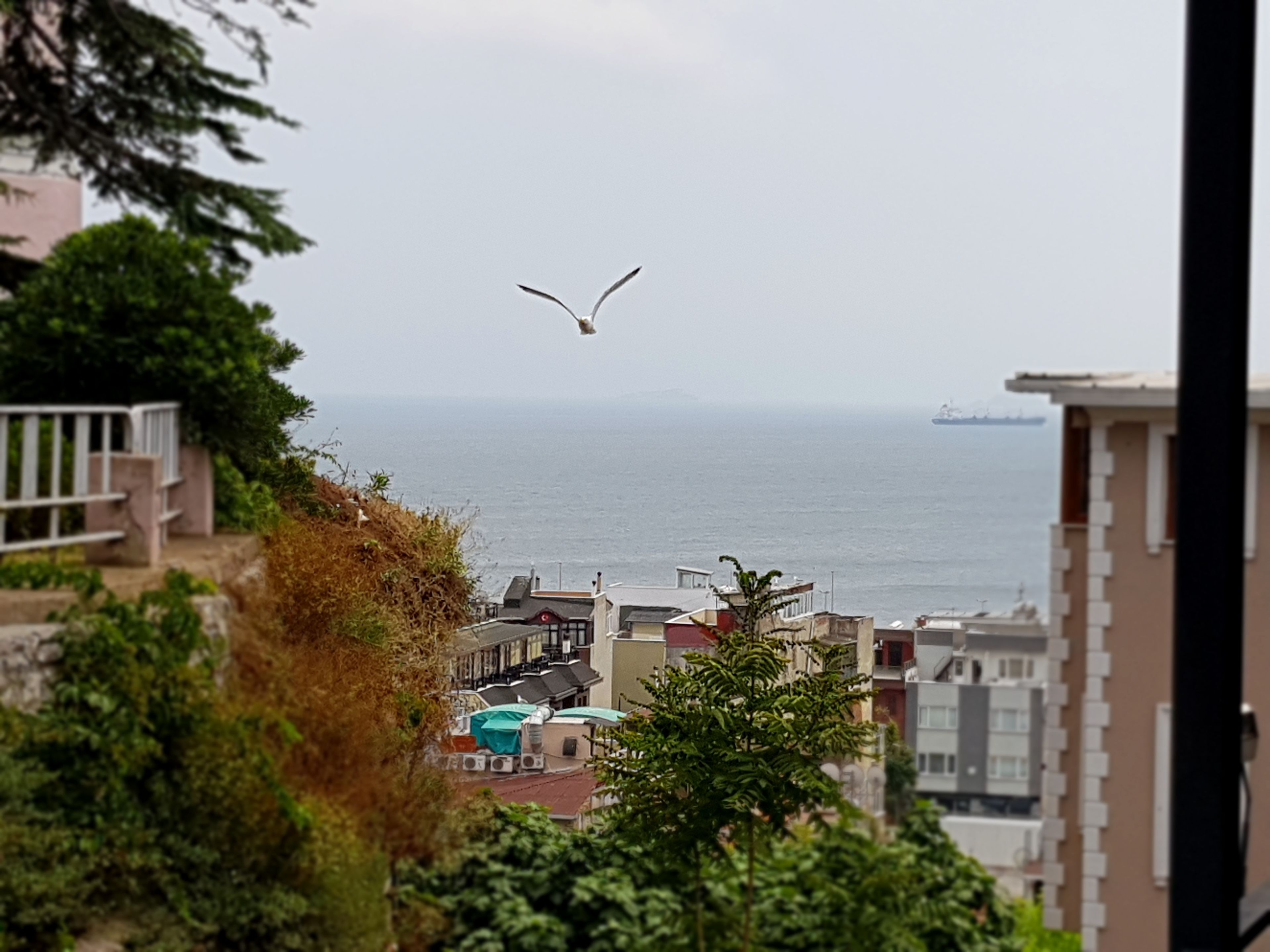 deluxe room | premium bedding, in-room safe, soundproofing, free wifi