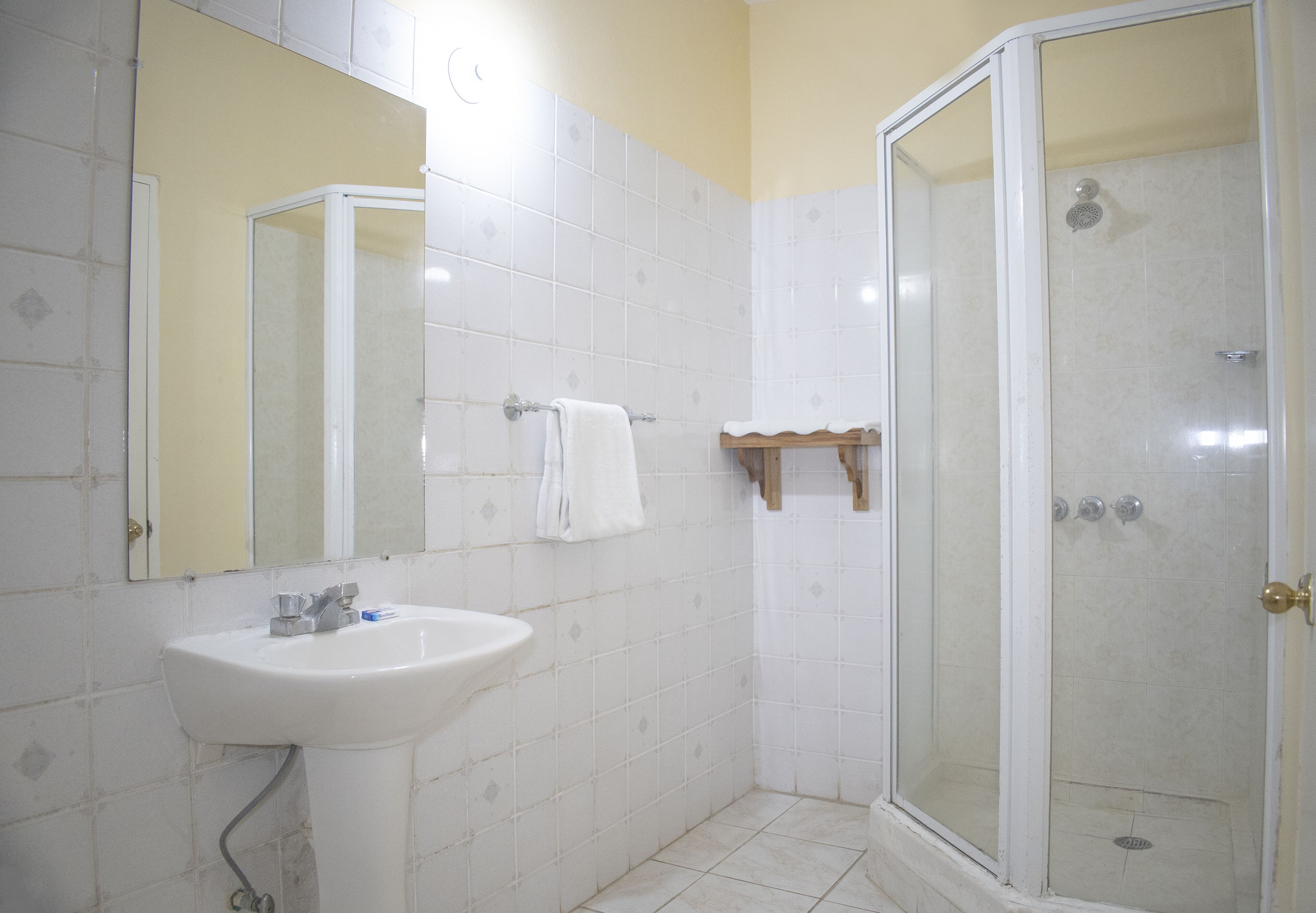 Une salle de bain avec un lavabo, un miroir et une douche.