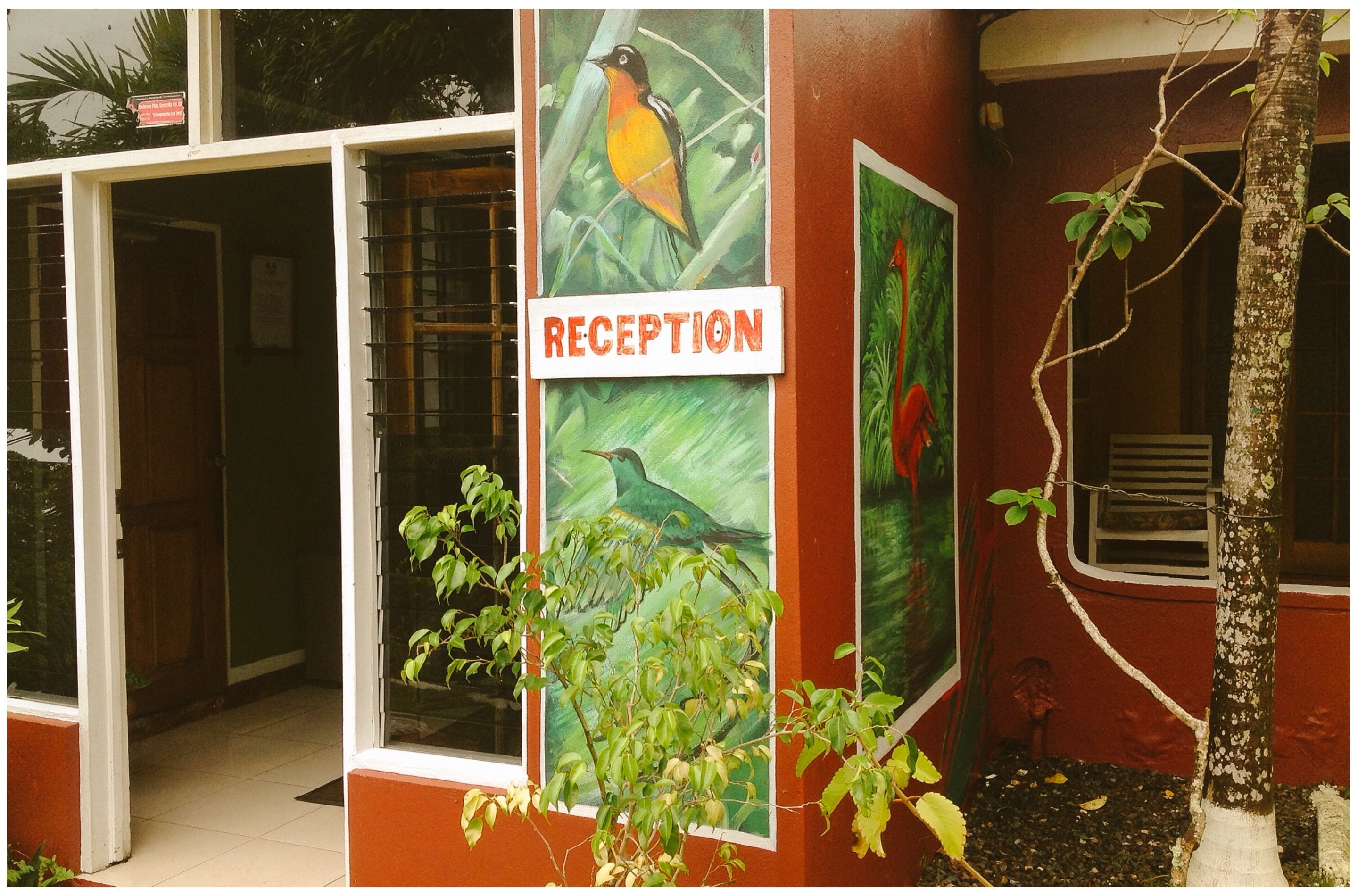 A reception area with a sign, a window with a view of greenery, and a tree outside.