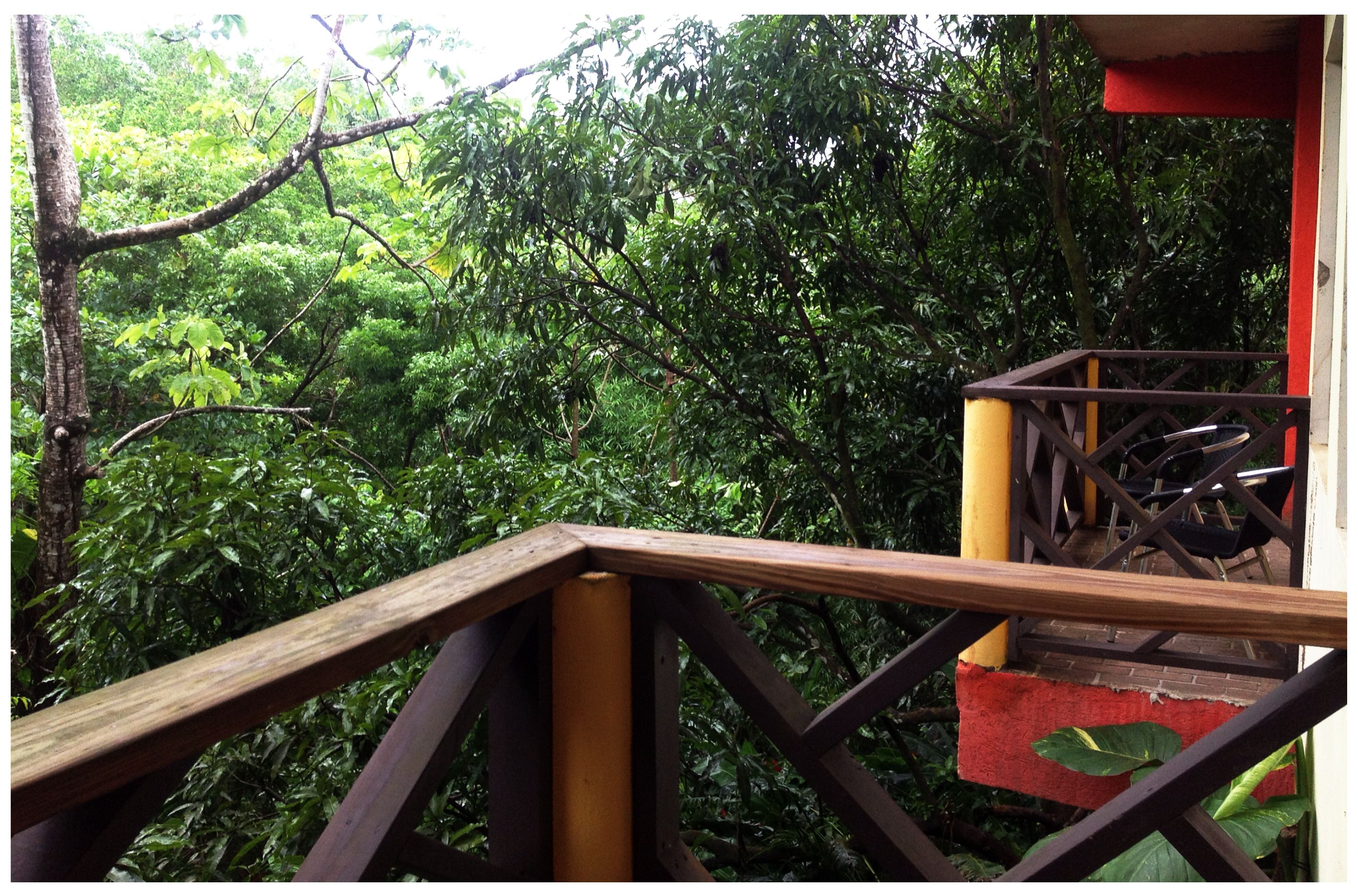 A wooden balcony railing overlooking dense green foliage.