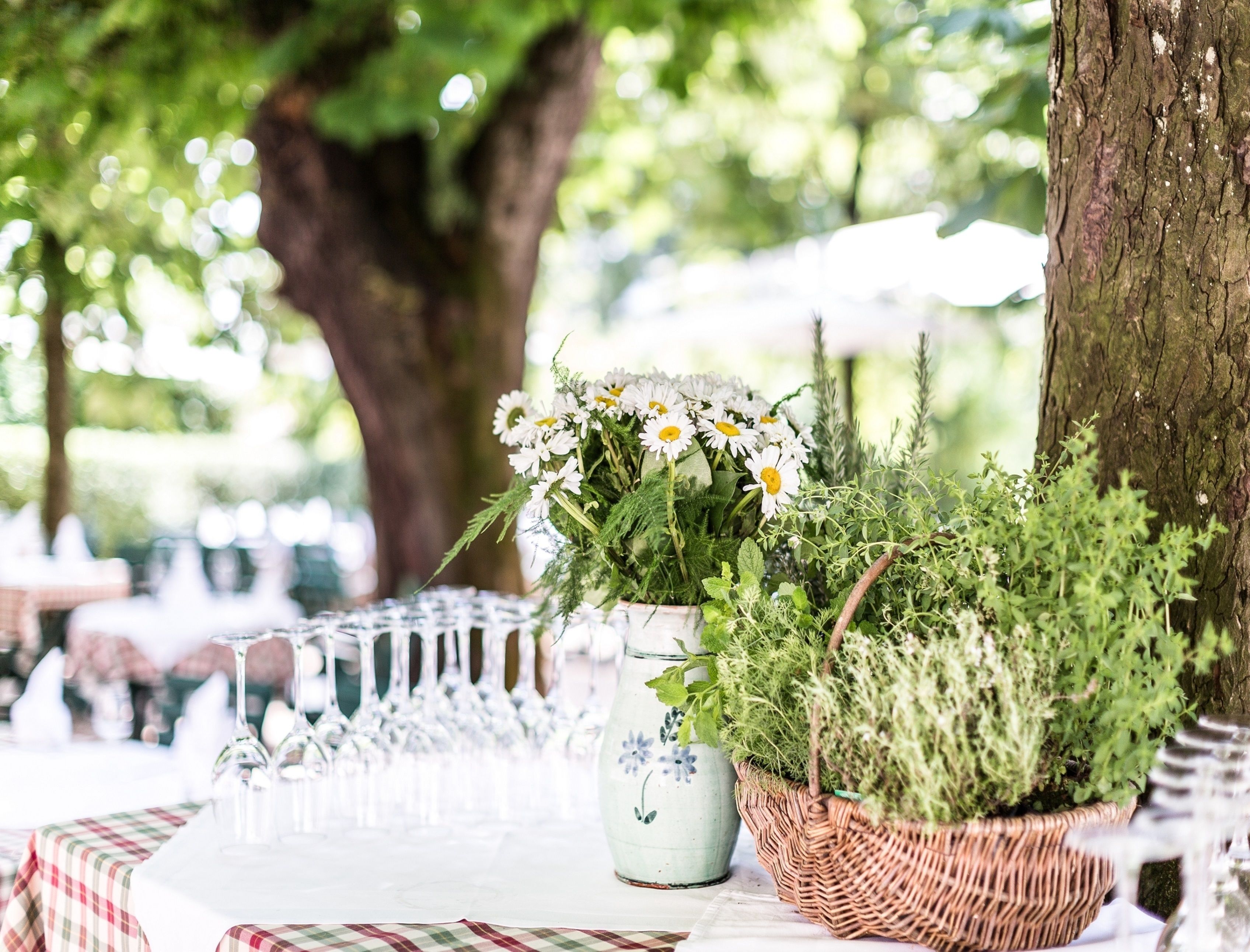 Lunch and dinner served, Regional cuisine