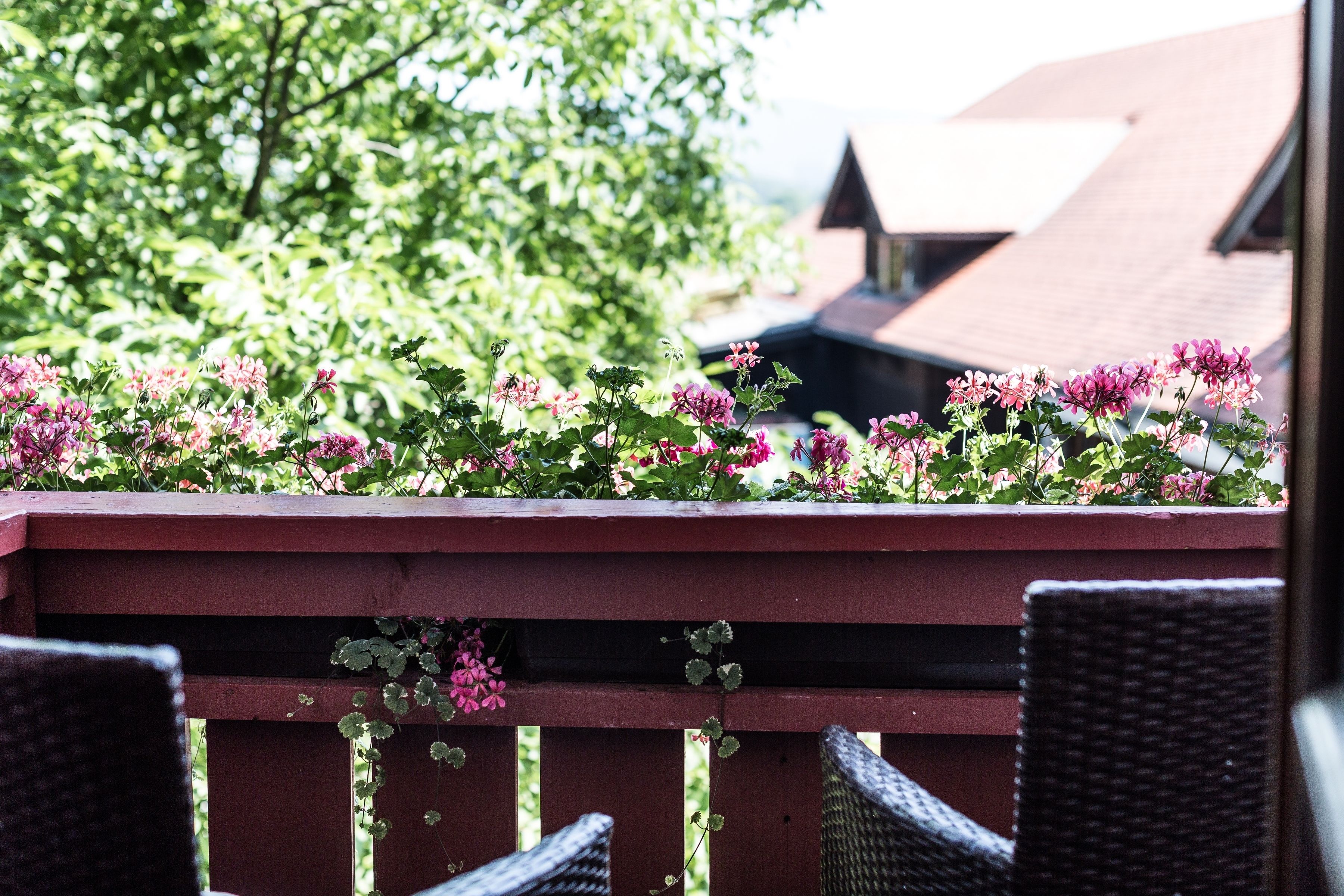 A balcony with a wooden railing, wicker chairs, and pink flowers.