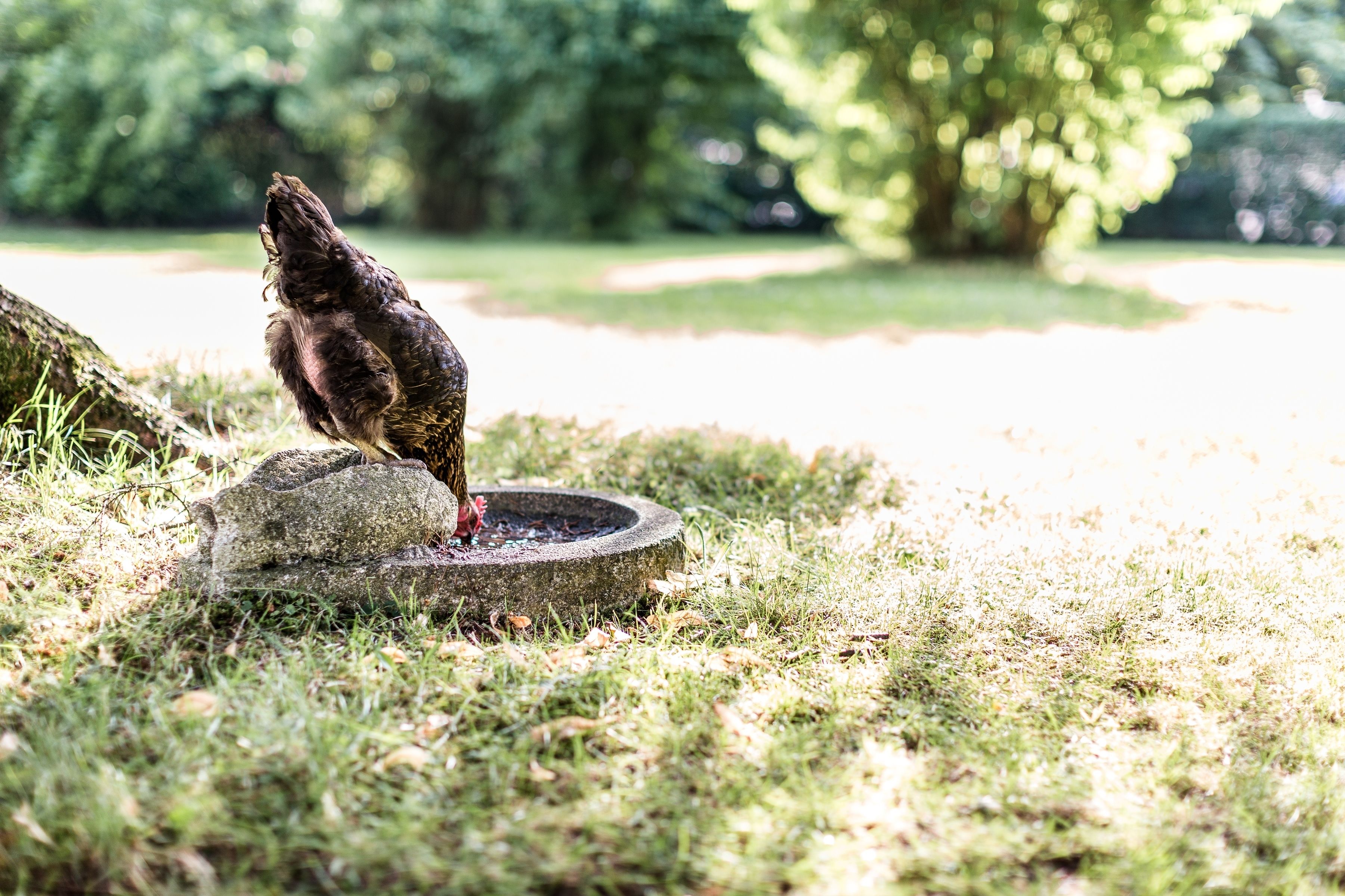 children’s play area – outdoor