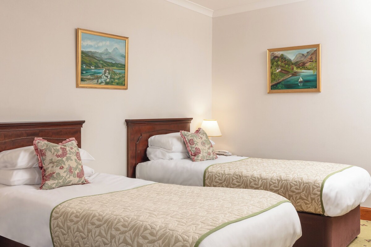 Classic Twin Room | Desk, iron/ironing board (on request), free WiFi, bed sheets