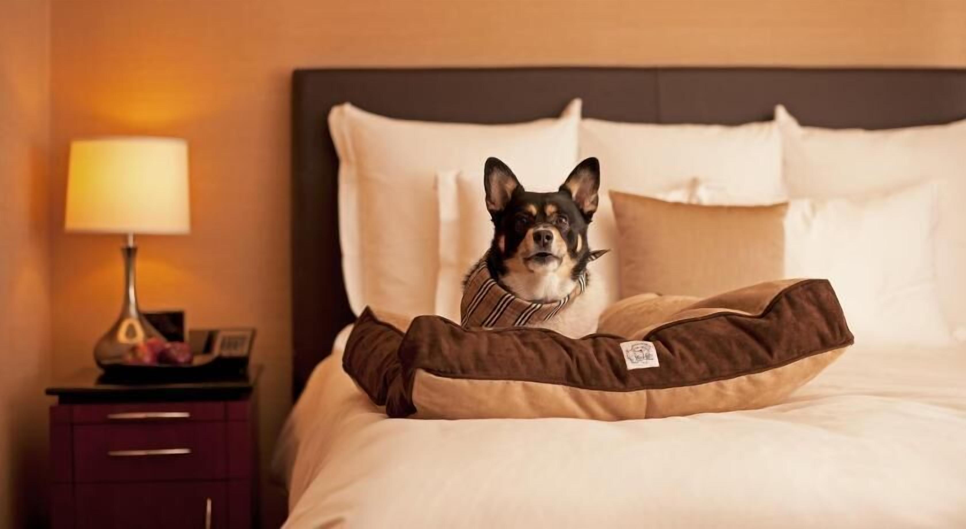 Coffres-forts dans les chambres, bureau, chambres insonorisées