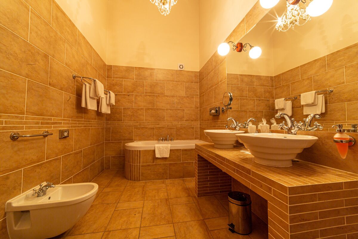 combined shower/bathtub, free toiletries, hair dryer, bidet