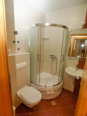 A bathroom with a glass-enclosed shower, a toilet, and a sink. - Villa Bondi (Makarska)