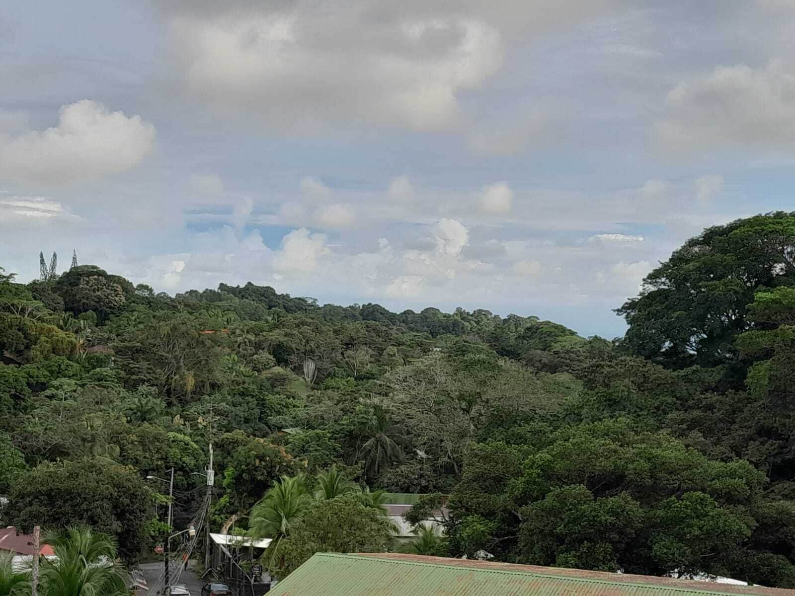 A lush green landscape with dense foliage and a clear sky.