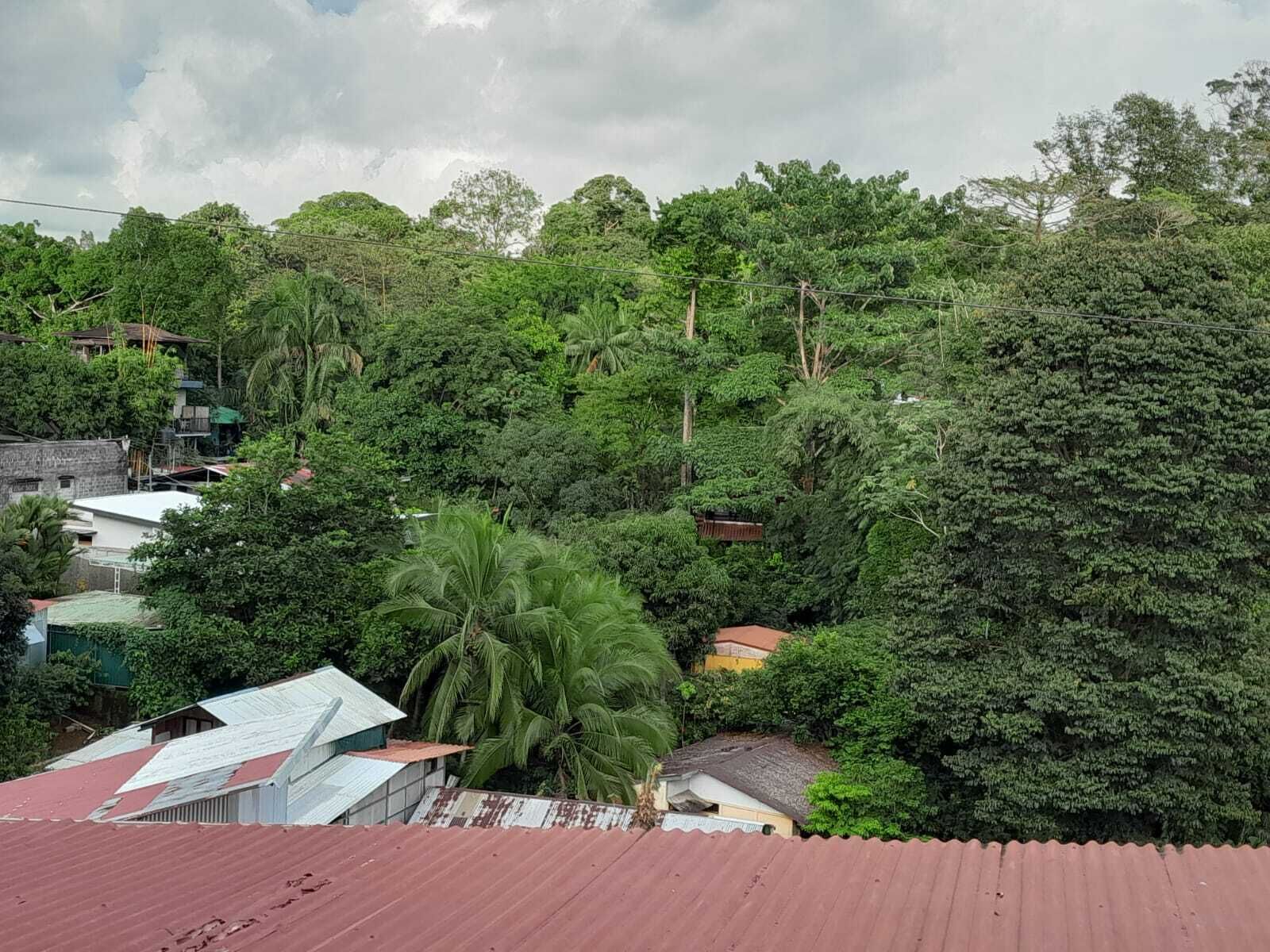 A residential area with dense greenery and houses with red roofs.