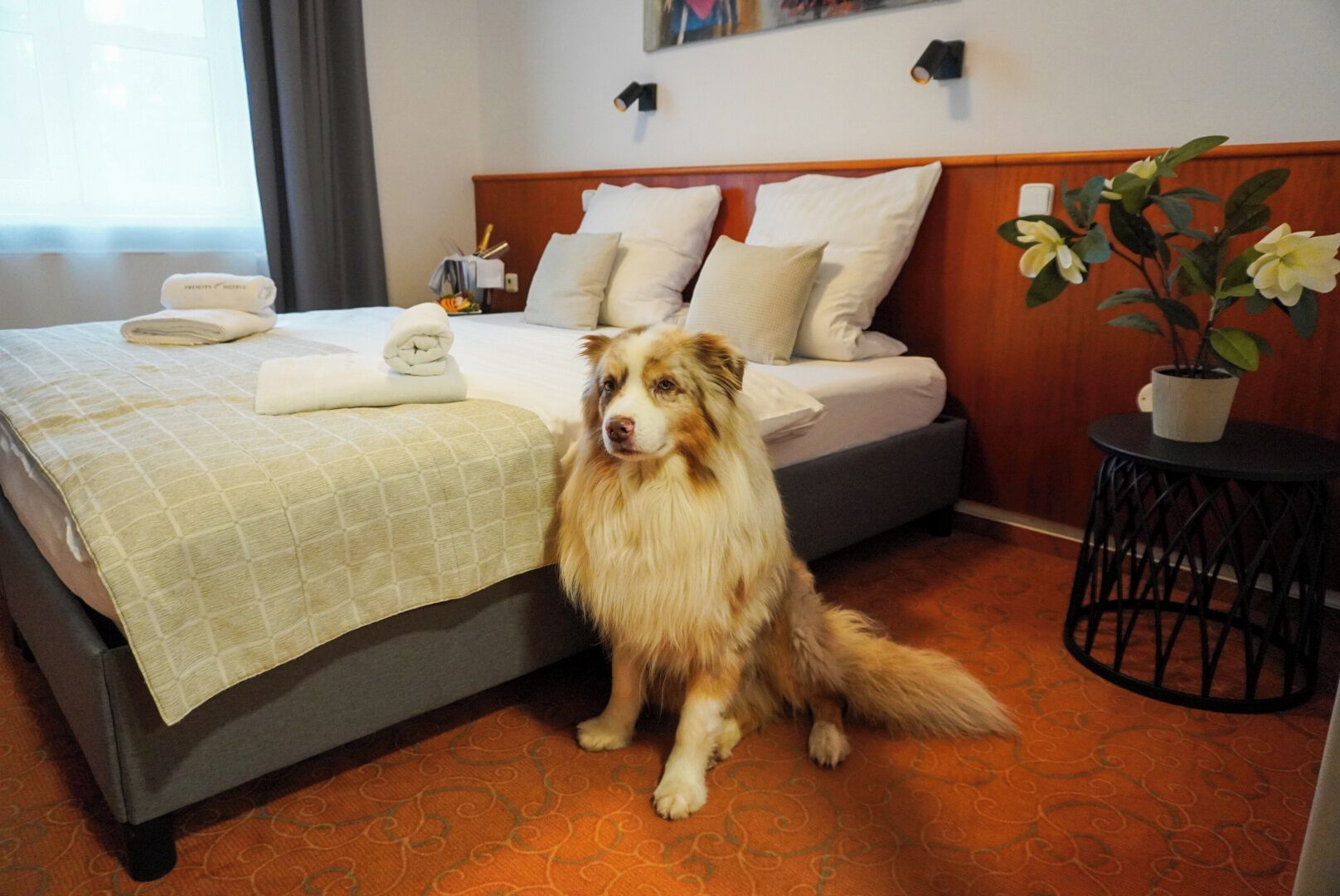 Habitación de hotel con una cama, un perro, una planta en maceta y una pequeña mesa redonda.