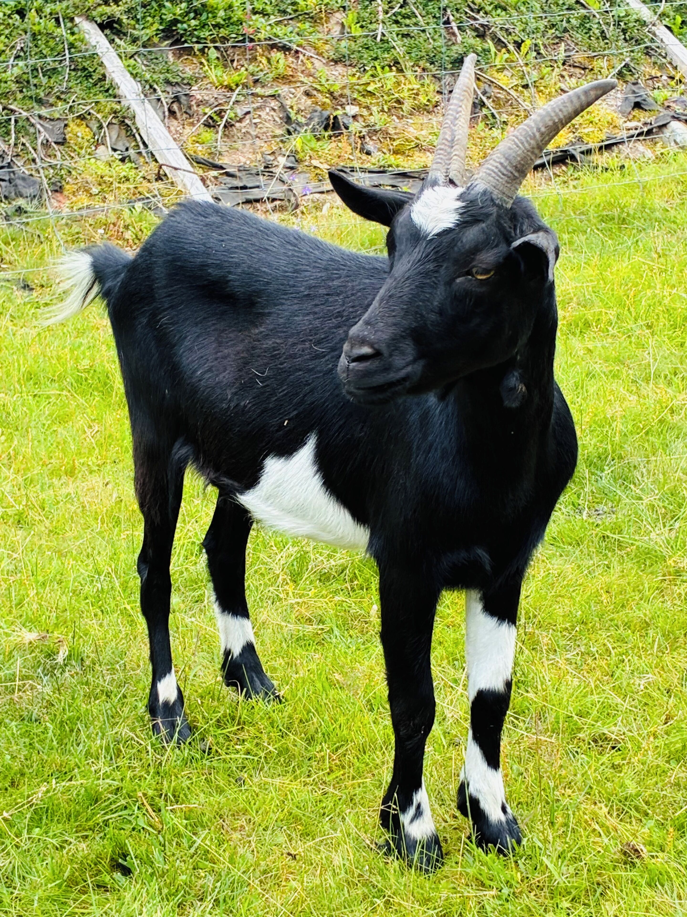 children’s play area – outdoor