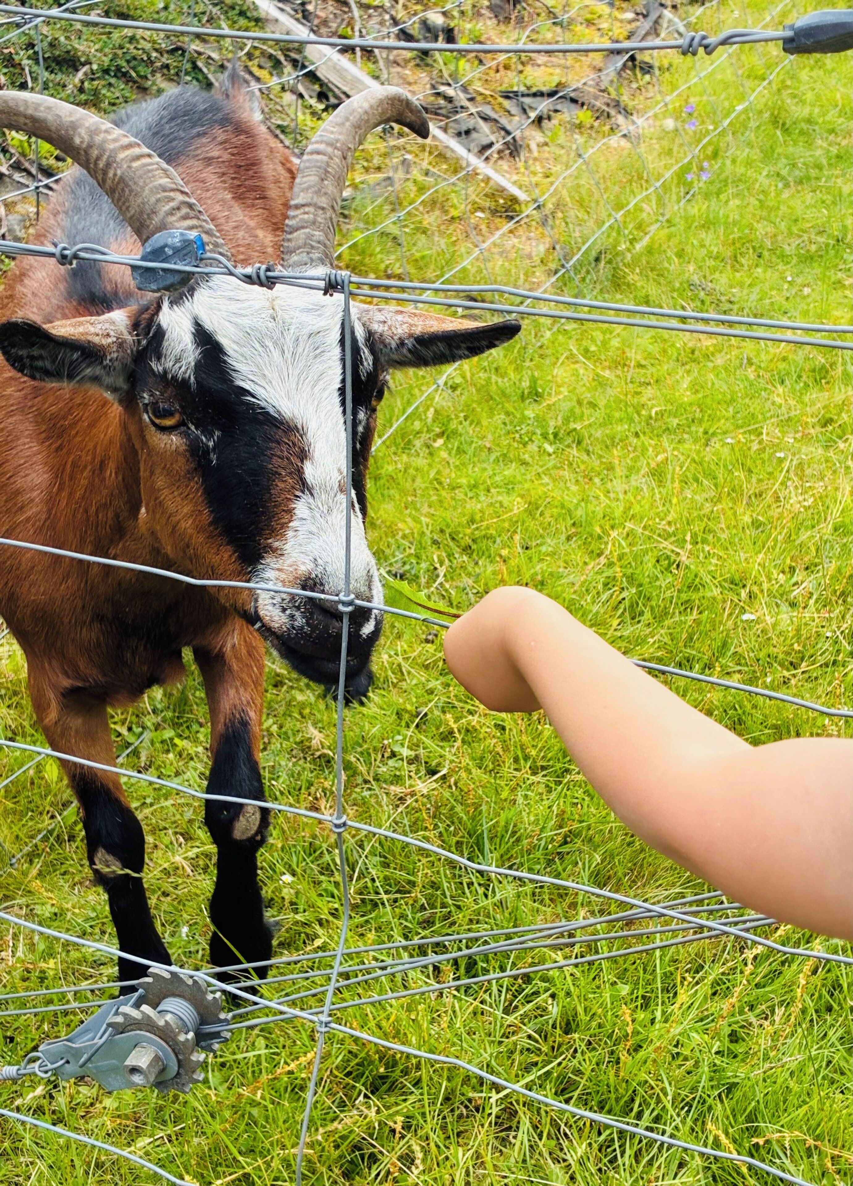 children’s play area – outdoor