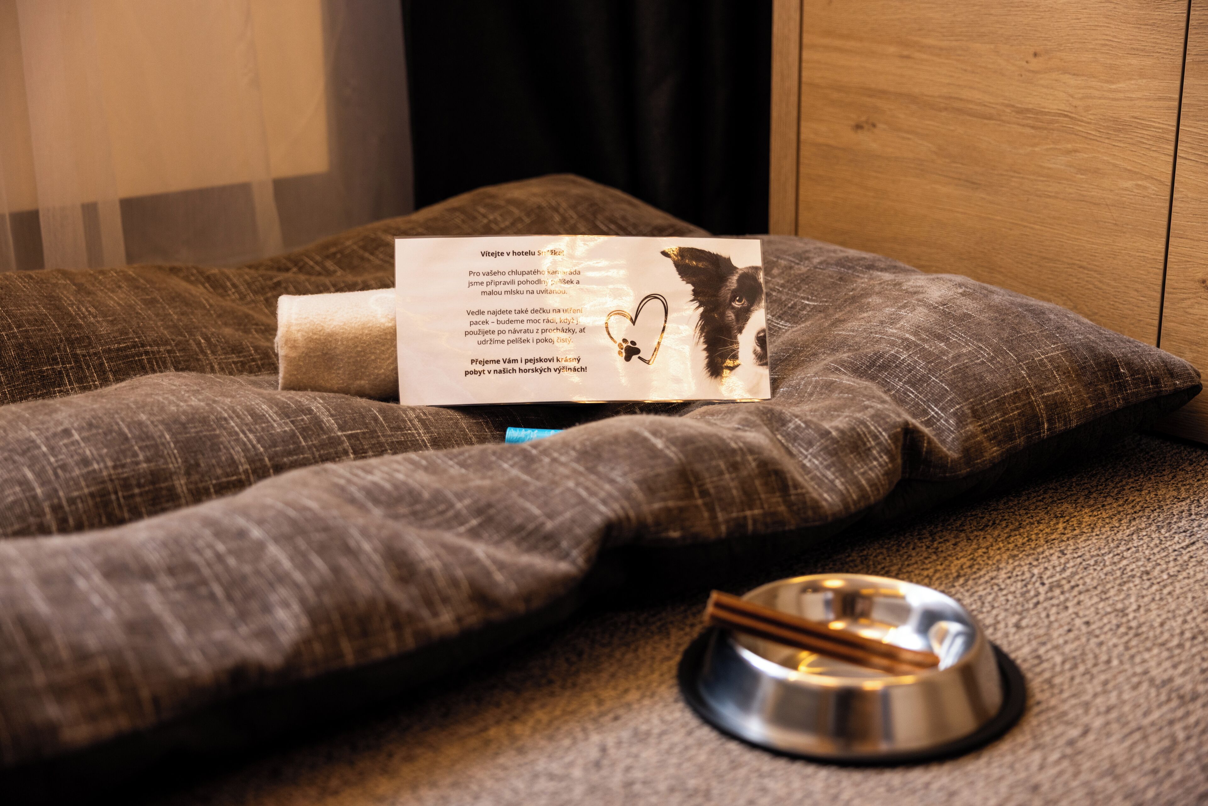 pet-friendly amenities