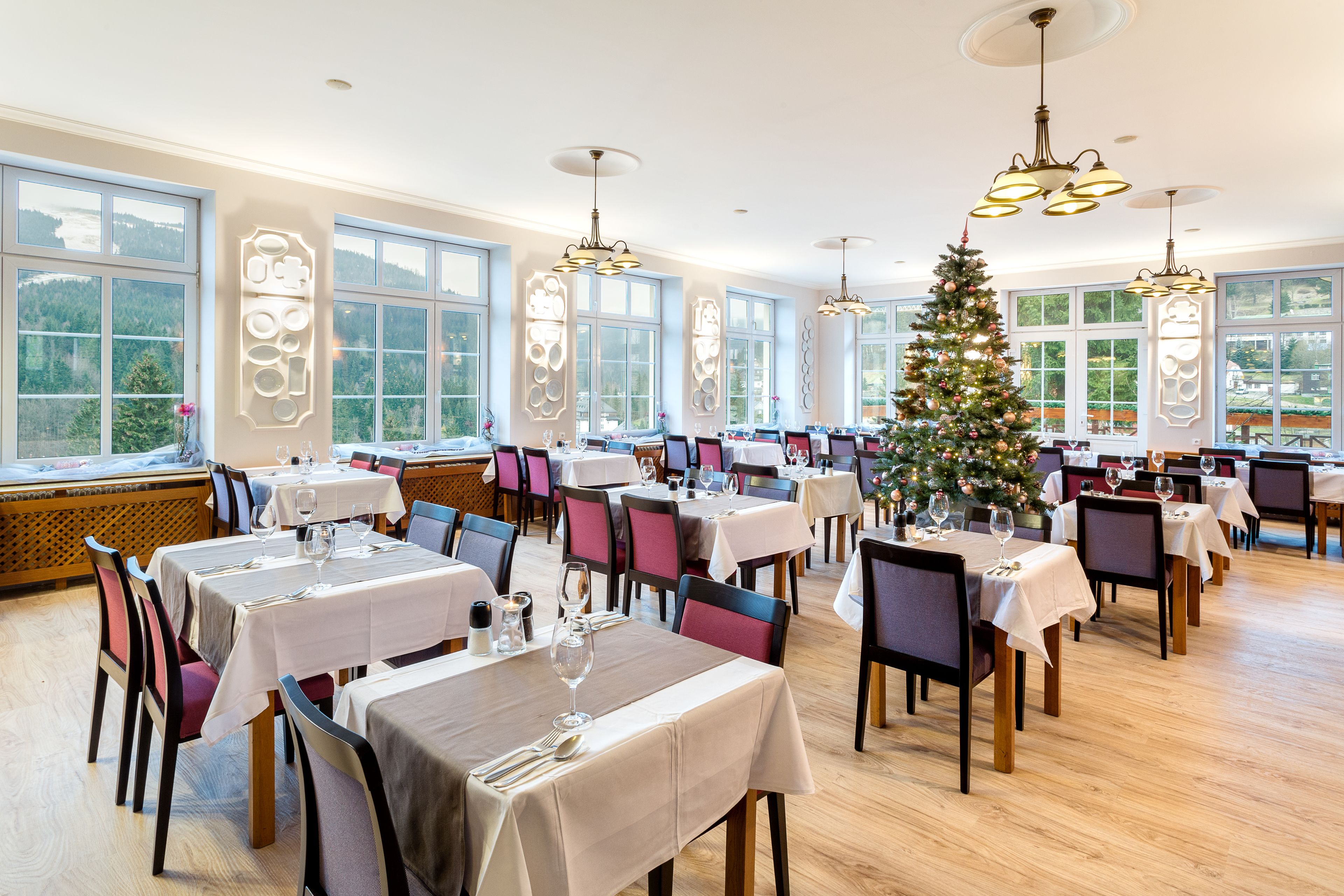 International cuisine