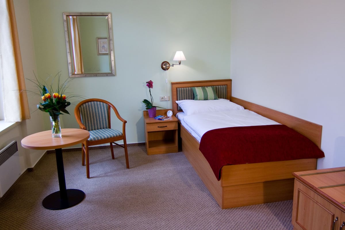 Eenpersoonskamer | Hypoallergeen beddengoed, een minibar, een kluis op de kamer